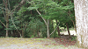 camp26 (145)_thumb.png